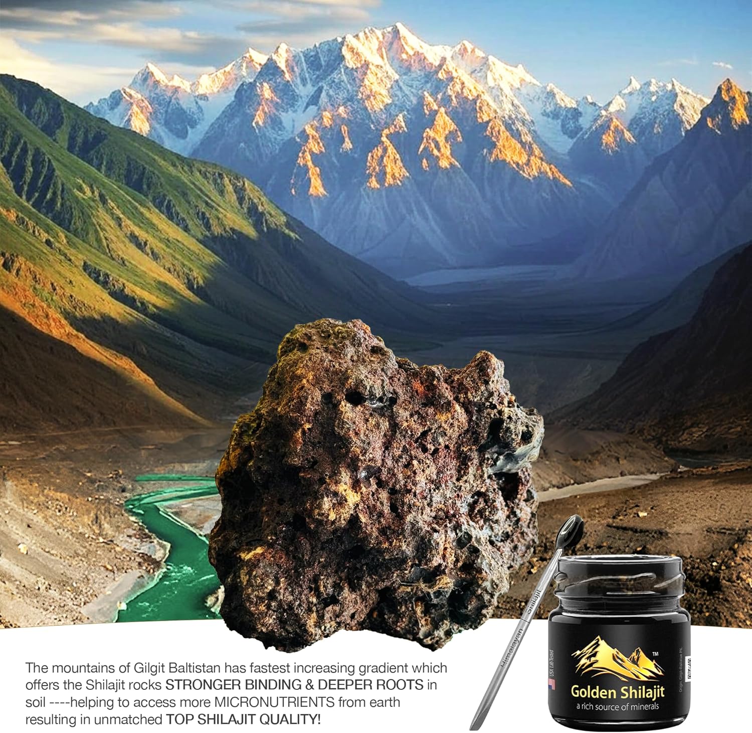 Golden Shilajit® Resin 50g