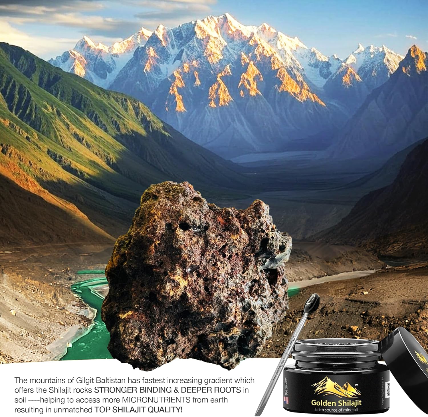 Himalayan Golden Shilajit Resin